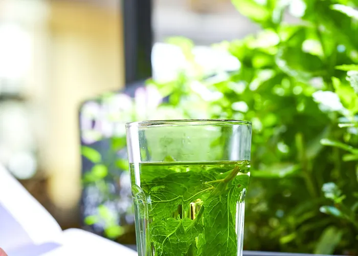 Stayokay Oost Hostel *